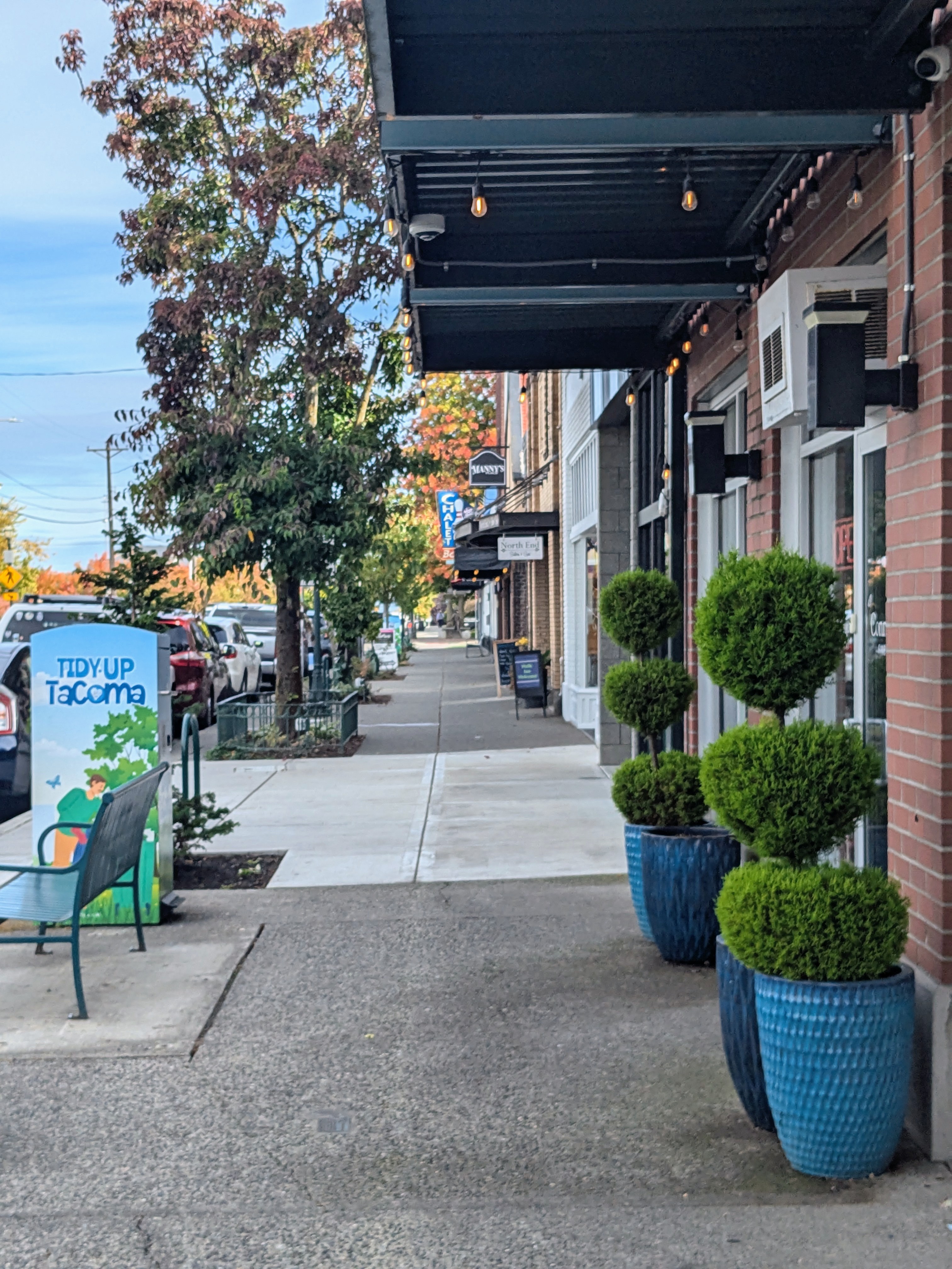 Tree-lined sidewalk and shops in the Proctor District, North Tacoma
